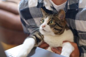 フルリモート求人を探すならおすすめのサイトは？