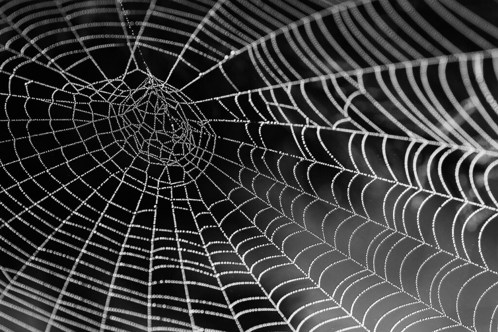地方での在宅Web制作求人はどこで探せる？
