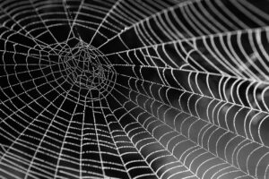 地方での在宅Web制作求人はどこで探せる？