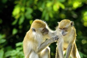 フルリモートのITコンサルにおける年収相場は地方でどのくらい？