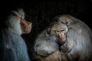 フルリモートのITコンサル面接対策は地方でもできる？